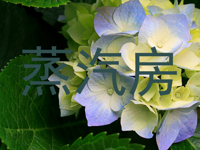 蒸汽房