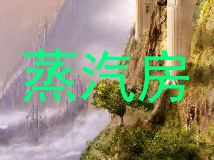 蒸汽房