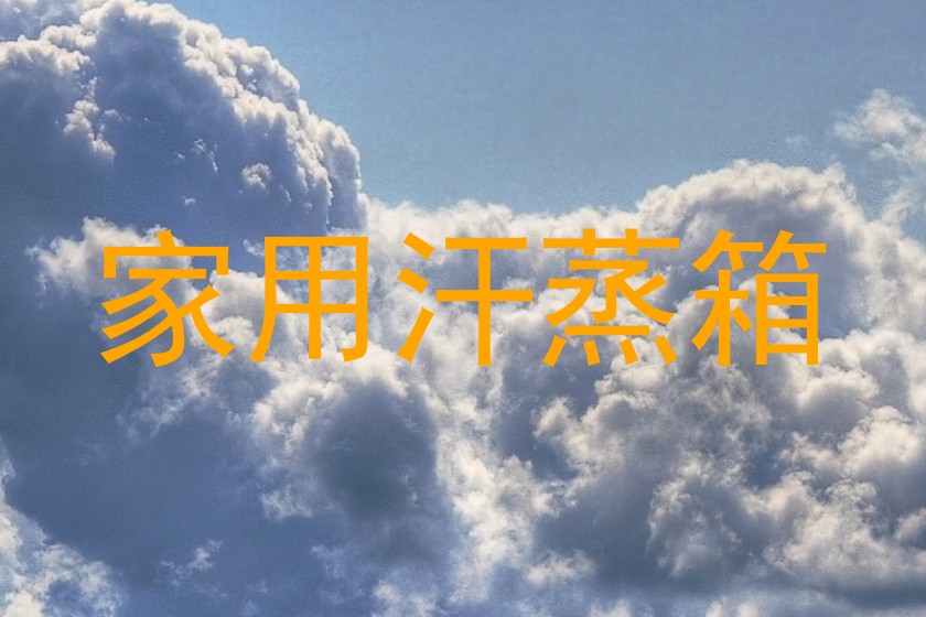 家用汗蒸箱