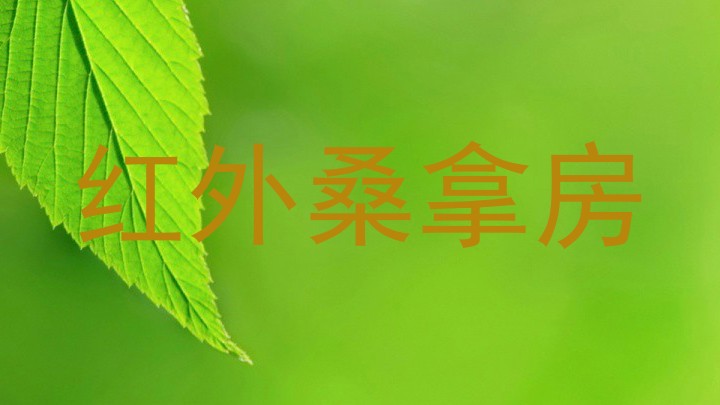 红外桑拿房