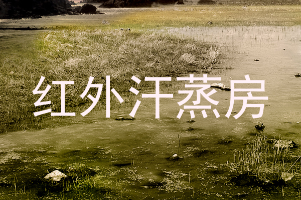 红外汗蒸房