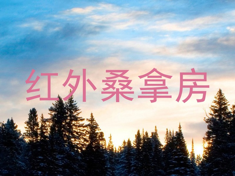 红外桑拿房