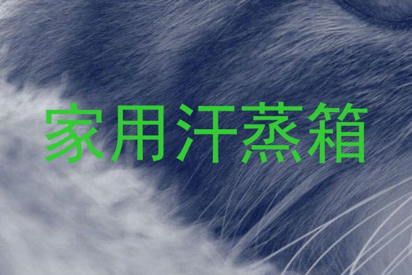 家用汗蒸箱