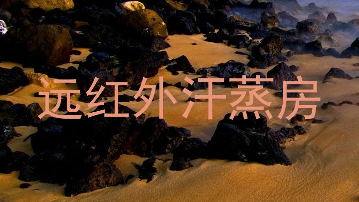 远红外汗蒸房