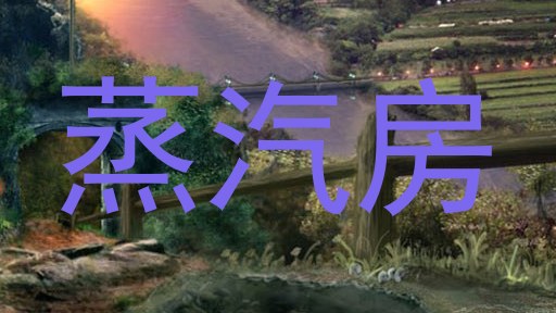 蒸汽房