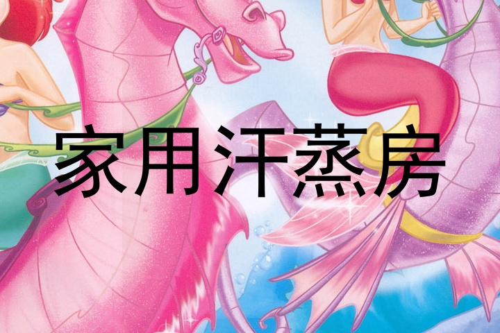 家用汗蒸房
