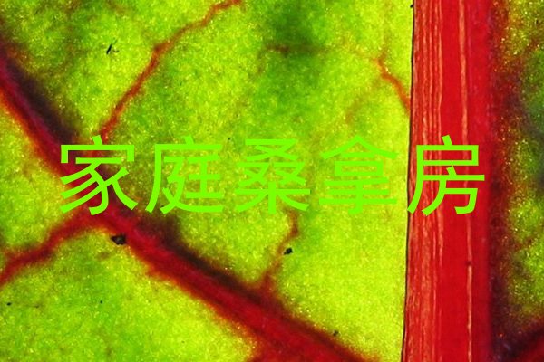 家庭桑拿房