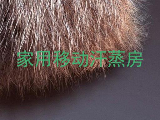 家用移动汗蒸房
