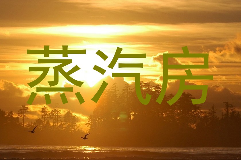 蒸汽房