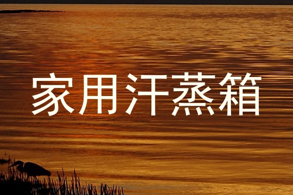 家用汗蒸箱