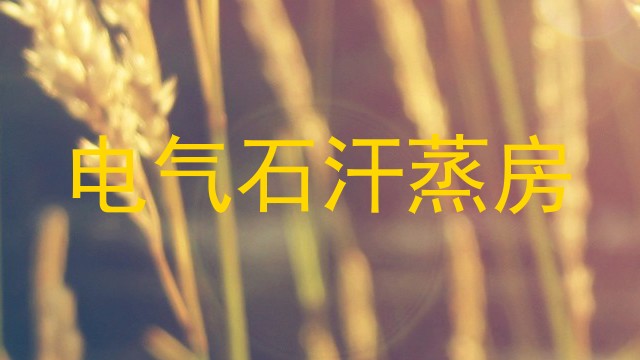 电气石汗蒸房