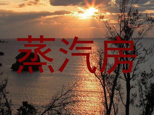 蒸汽房
