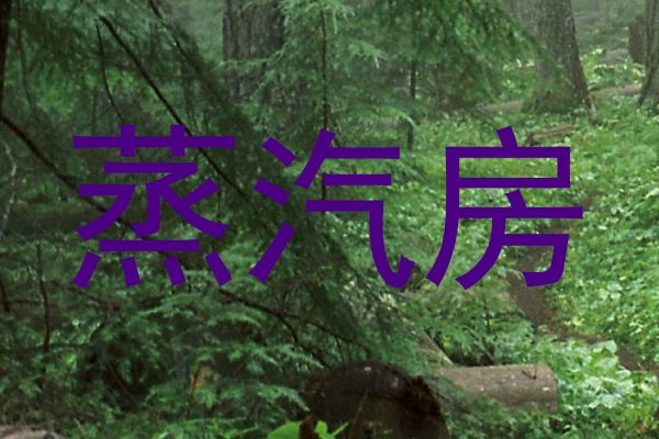 蒸汽房