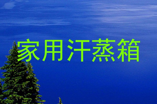 家用汗蒸箱