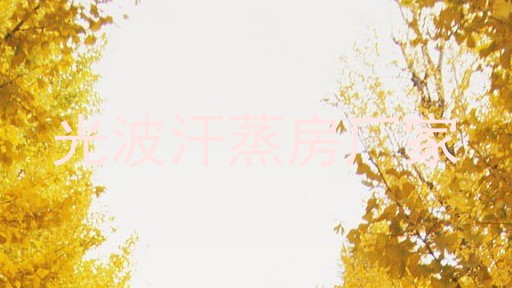 光波汗蒸房厂家