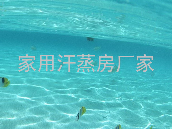 家用汗蒸房厂家