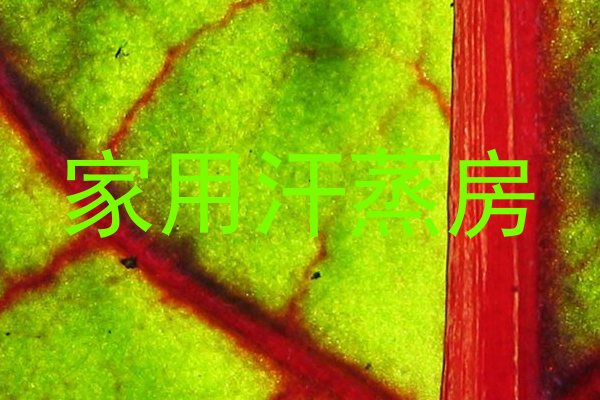 家用汗蒸房