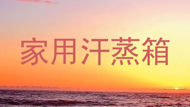 家用汗蒸箱