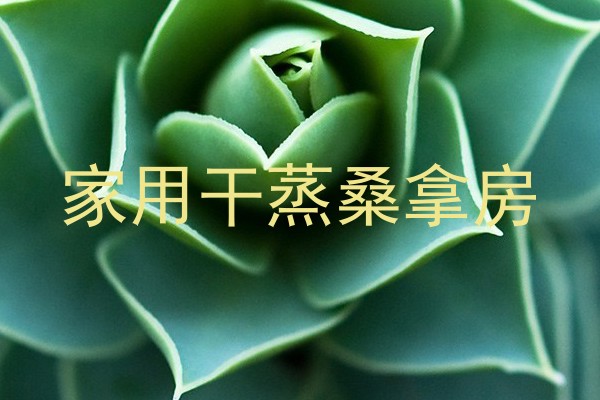 家用干蒸桑拿房