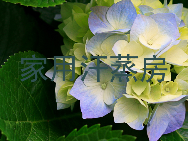 家用汗蒸房
