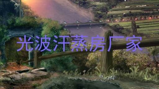 光波汗蒸房厂家