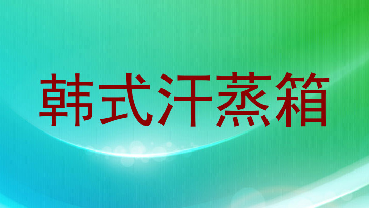 韩式汗蒸箱