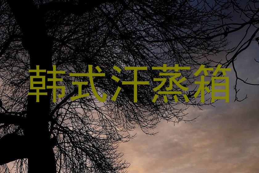 韩式汗蒸箱