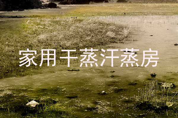 家用干蒸汗蒸房