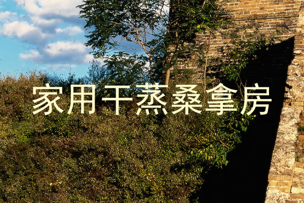 家用干蒸桑拿房