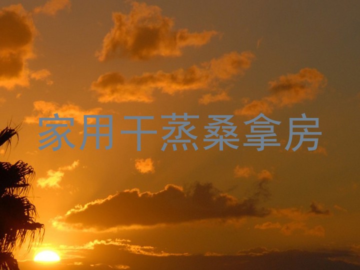 家用干蒸桑拿房