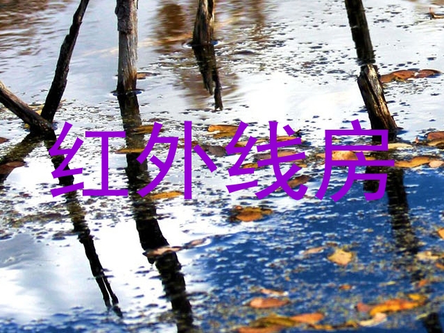 红外线房