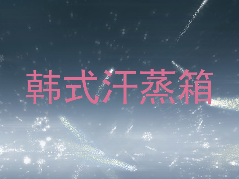 韩式汗蒸箱
