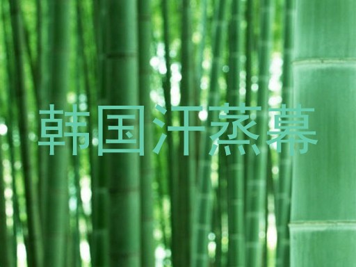 韩国汗蒸幕