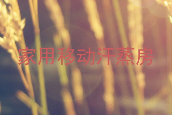 家用移动汗蒸房