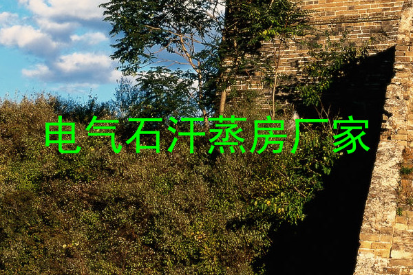 电气石汗蒸房厂家
