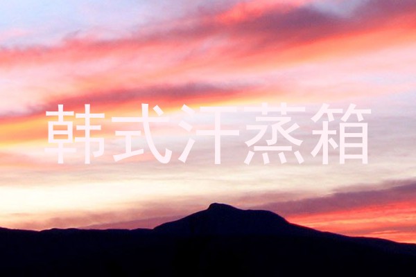韩式汗蒸箱