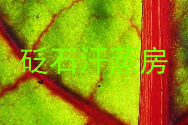 砭石汗蒸房