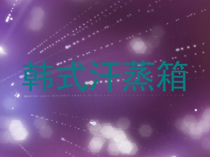 韩式汗蒸箱