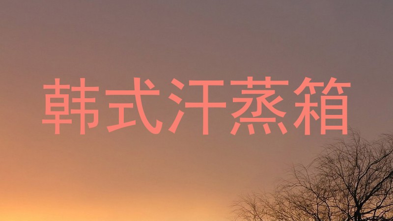 韩式汗蒸箱