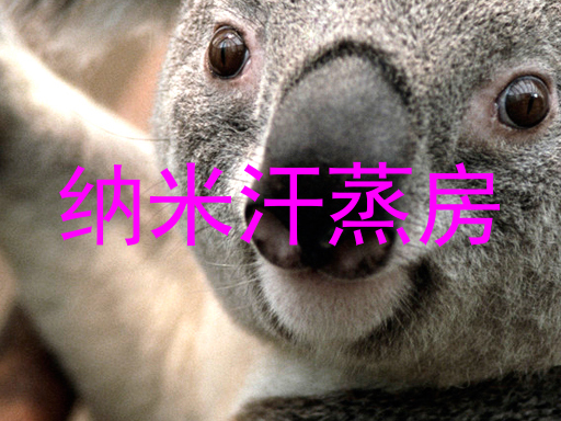 纳米汗蒸房
