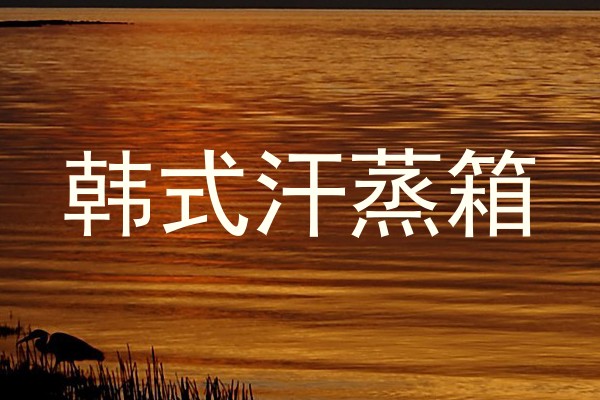 韩式汗蒸箱