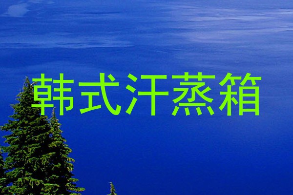 韩式汗蒸箱