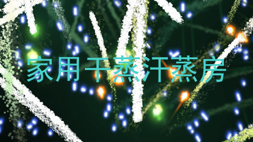 家用干蒸汗蒸房