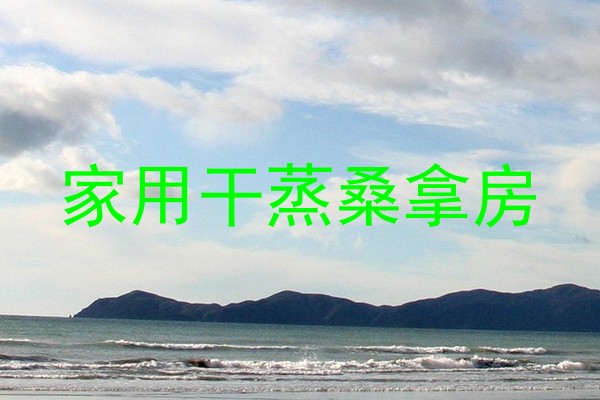家用干蒸桑拿房