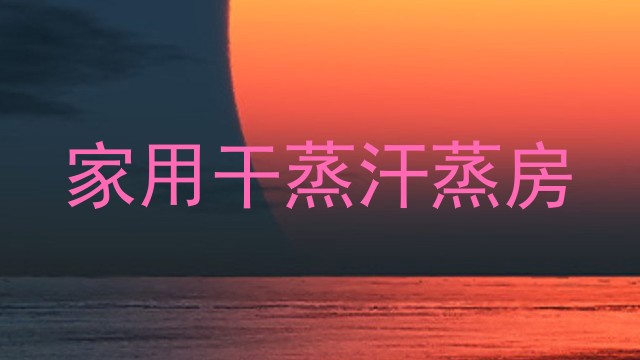 家用干蒸汗蒸房