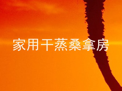 家用干蒸桑拿房