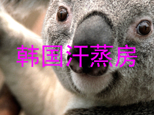 韩国汗蒸房