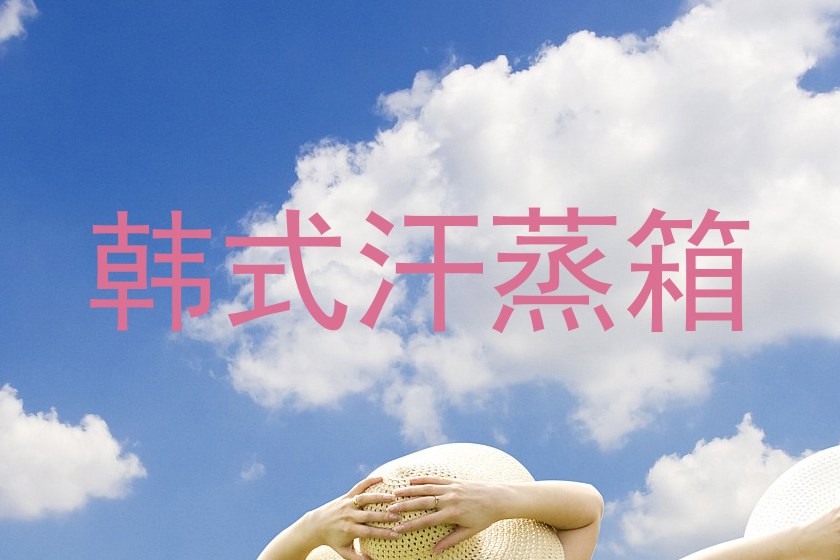 韩式汗蒸箱