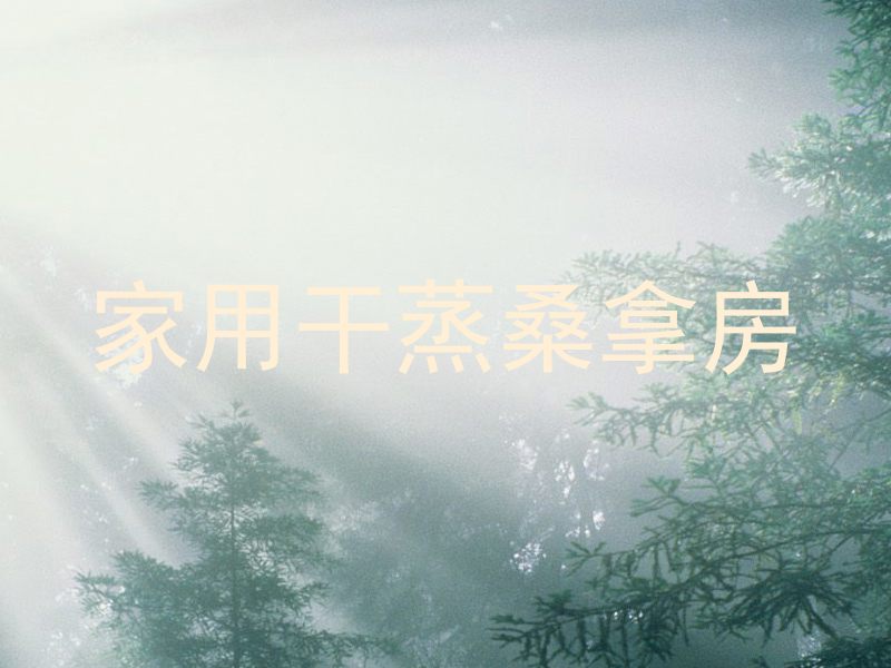 家用干蒸桑拿房