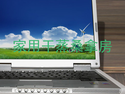 家用干蒸桑拿房